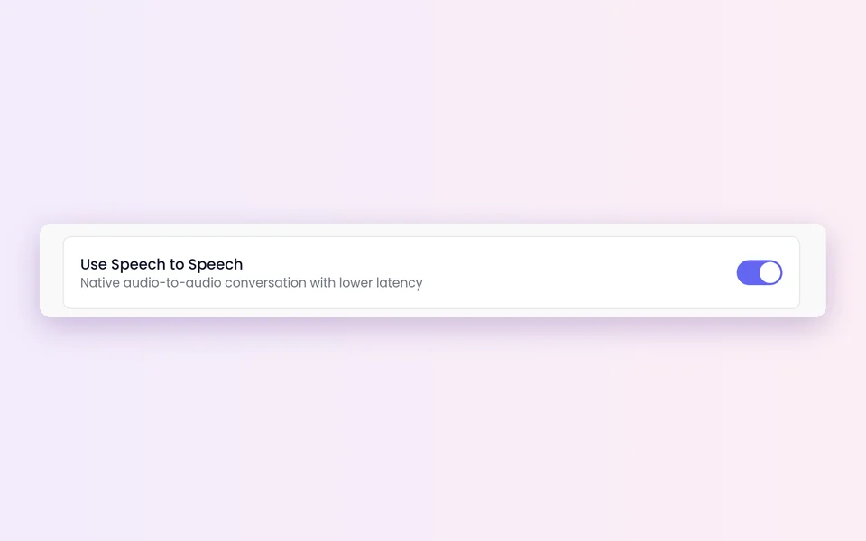 The Use Speech to Speech switch